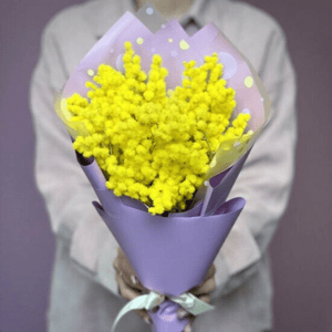 Букет Из Мимозы
