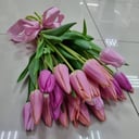 Букет тюльпанов