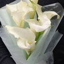 Букет «Неженка» из калл