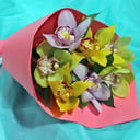 Букет «7 орхидей»