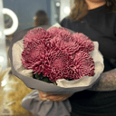 Букет «Хризантемы Бигуди Ред 7 штук в пленке»