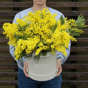 Шляпная коробка с цветами «Коробка с мимозой»