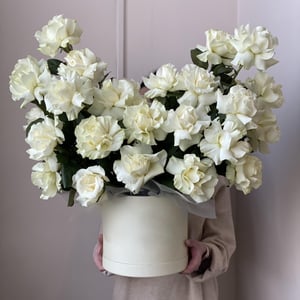 Шляпная коробка с цветами «23 французских розы»