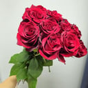 Букет «Охапка 13 красных роз Эксплорер»