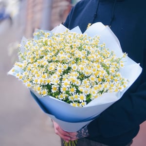 Букет полевых матрикарий