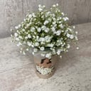 Композиция «Гипсофила в стаканчике»