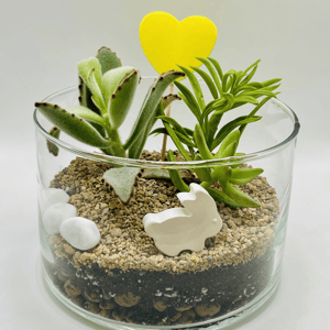 Флорариум Весна на Камчатке