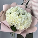 Букет из 5 белых гортензий