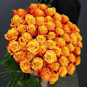 Букет из 51 роз сорта "Испания"