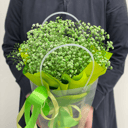 Композиция Гипсофилы