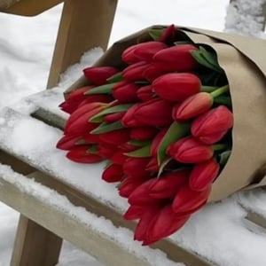 Букет красных тюльпанов 31