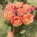 Букет «Признательный жест» из роз