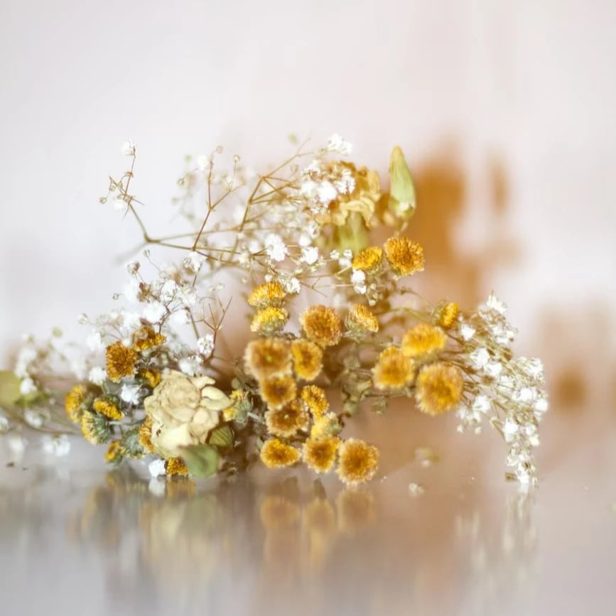 Dried Flowers flowers