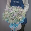 Букет цветов из 15 радужной гипсофилы