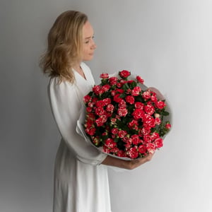 Монобукет из кустовых роз Файрворкс