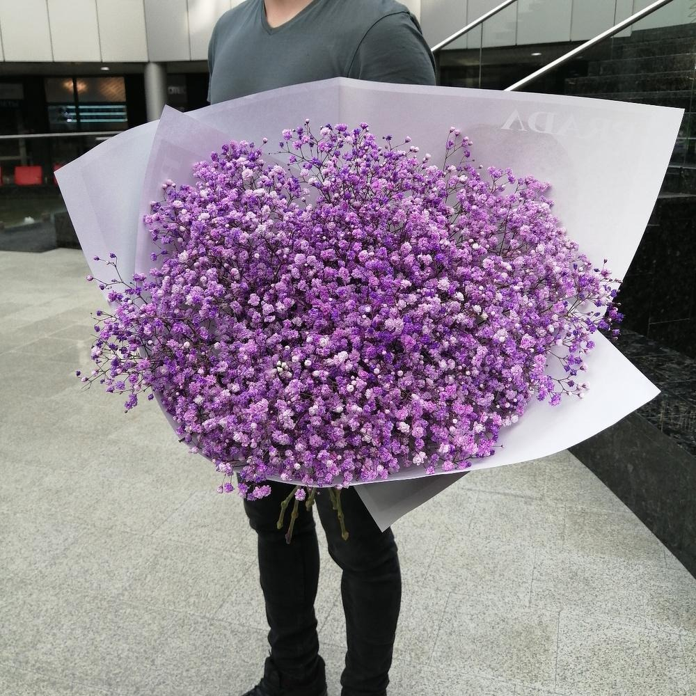 Букет Фиолетовой Гипсофилы