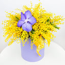 Шляпная коробка с цветами «Созвездие Мимозы»