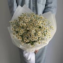 Букет «Ромашки 25 шт»