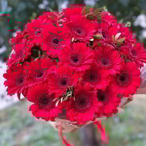 Букет «Яркие эмоции» из гербер