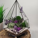 Флорариум Мальдивы