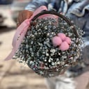 Гипсофила в корзинке