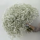 Букет цветов из 45 белых гипсофил