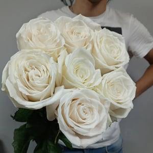Букет «Роза Плайя Бланка 7 шт под ленту»