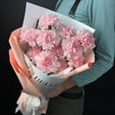 Букет из 11 розовых Диантусов из гвоздик