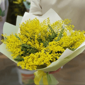 Букет из мимозы