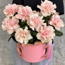 Шляпная коробка с цветами «Николь»