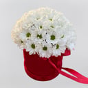 Шляпная коробка с цветами «Ромашки в красном» из хризантем