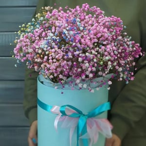 Шляпная коробка с цветами «Радужная гипсофила в коробке»