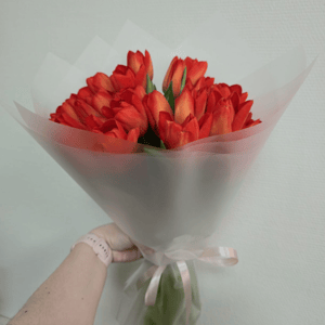 Букет из 29 оранжевых тюльпанов