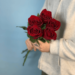 Букет «5 роз Эквадор»