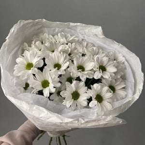 Букет «Хризантема кустовая белая»