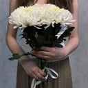 Букет из одноголовых хризантем