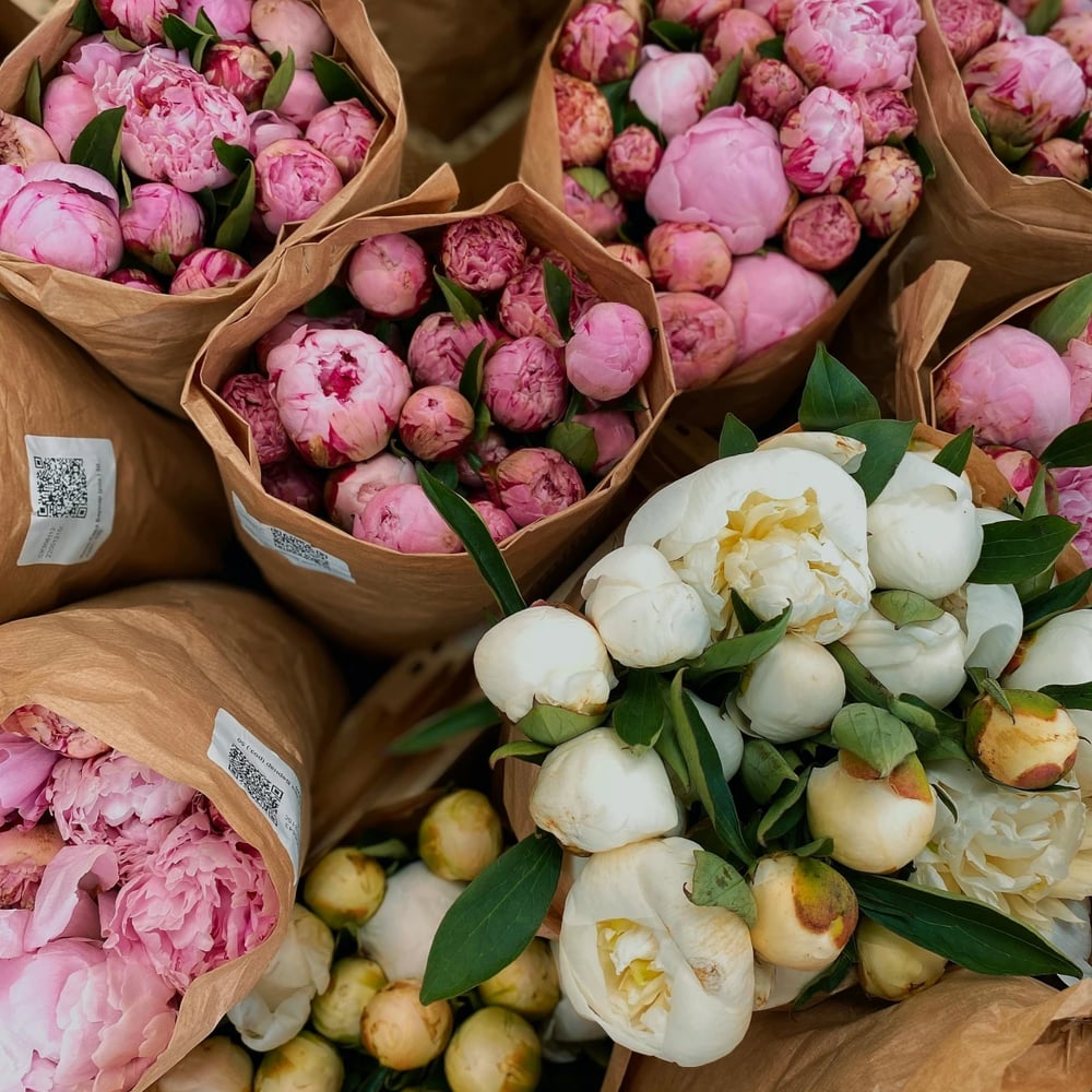 Peony bouquet delivery
