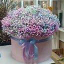 Шляпная коробка с цветами «Букет из 51 гипсофилы»