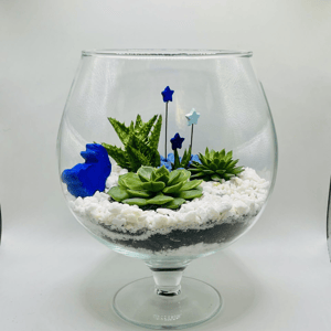 Сад голубых звезд