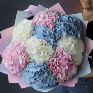 Классический букет из 9 гортензий микс