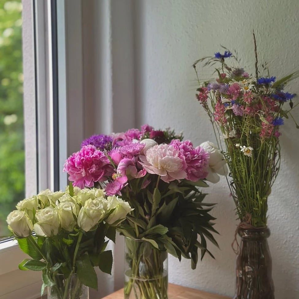 Blumen Österreich Pflegetipps