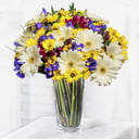 Букет «Сияние глаз» из ирисов и гербер