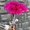 Монобукет из 5 розовых гербер