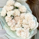 Букет из 15 гвоздик