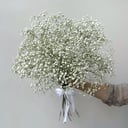 Букет из 9 гипсофил, белые цветы