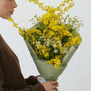 Букет мимозы Лучики солнца