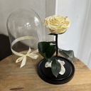 Роза в колбе Вип лимонная