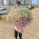 Коробка с цветами «Букет гипсофилы»