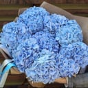 Букет «Шикарная гортензия»