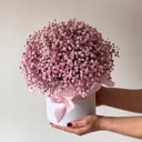 Шляпная коробка с цветами «Коробка с розовой гипсофилой»